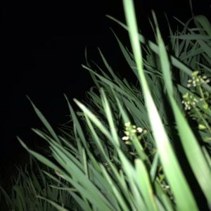 Meet your Posher, Kolbe